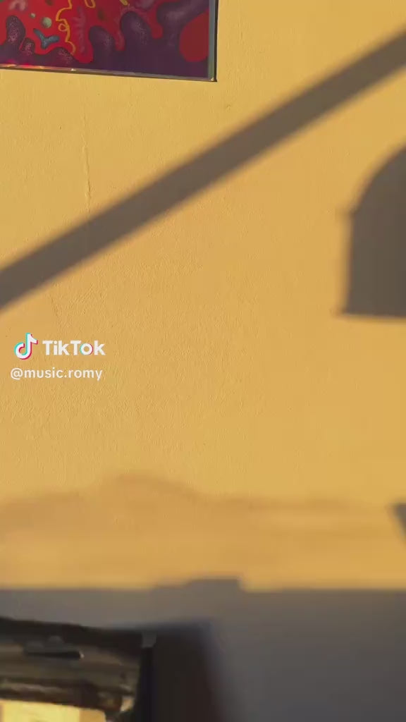 Load video: Romy B is a vibrant folk-pop singer-songwriter based in Perth, Western Australia. Her music is marked by warm, atmospheric vocals, groovy guitar riffs, and a flair for live looping, which she skillfully weaves into her performances to create rich, layered soundscapes . Got check her music out on Instagram or TikTok. Thanks Romy B for trying out Mute Mate out . 